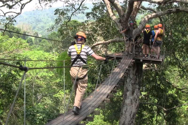 Arize Hotel Sriracha :Flight of the Gibbon